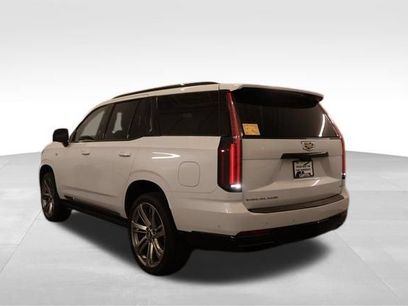 New 2026 Cadillac Escalade Platinum Sport