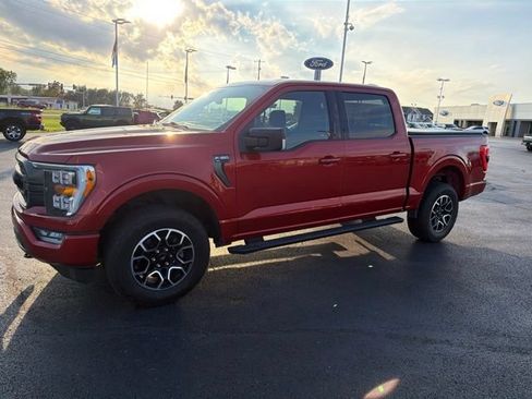 Used 2023 Ford F150 XLT w/ Equipment Group 302A High AWD/4WD image 12