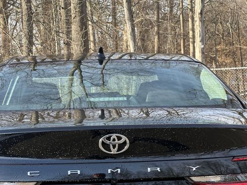 New 2026 Toyota Camry LE w/ Convenience Package image 17