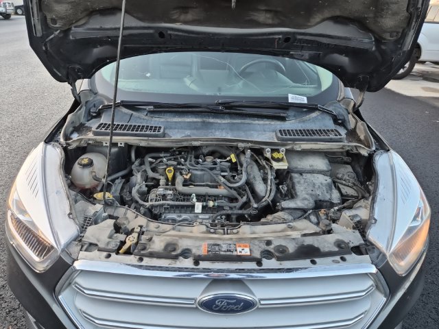 Used 2019 Ford Escape SEL AWD/4WD image 24