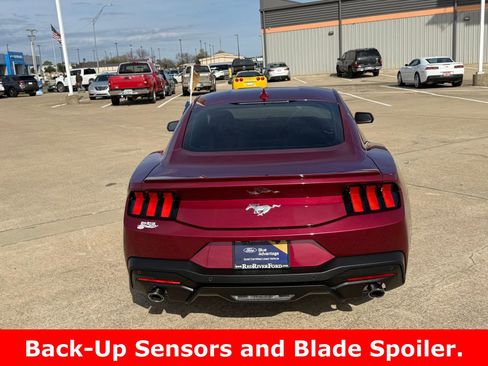 Certified 2025 Ford Mustang Premium image 6