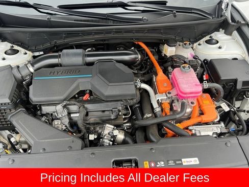 Used 2024 Hyundai Tucson Limited AWD/4WD image 14