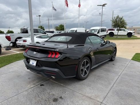 Used 2024 Ford Mustang Premium image 6