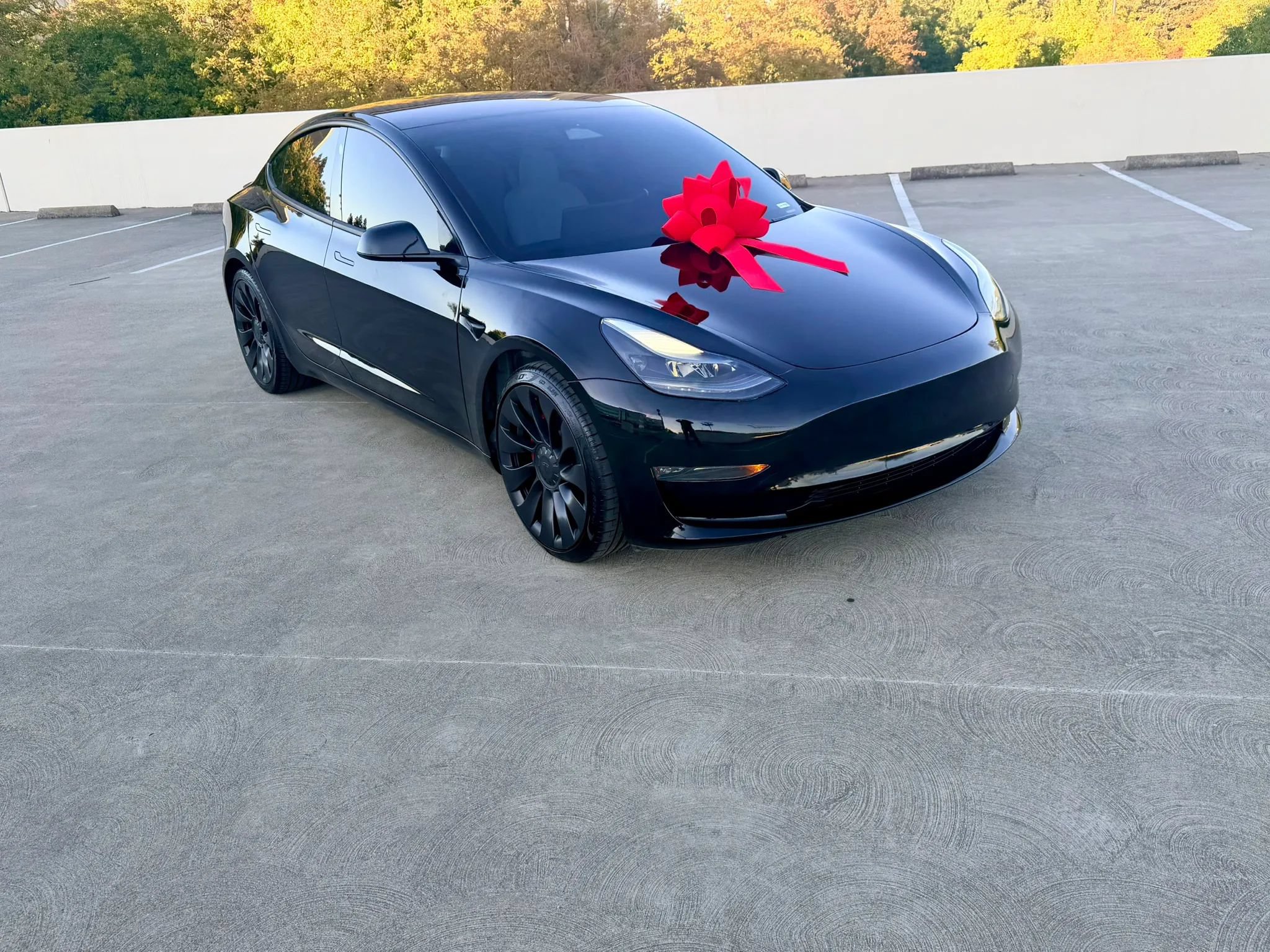 Used 2023 Tesla Model 3 Performance AWD/4WD image 47