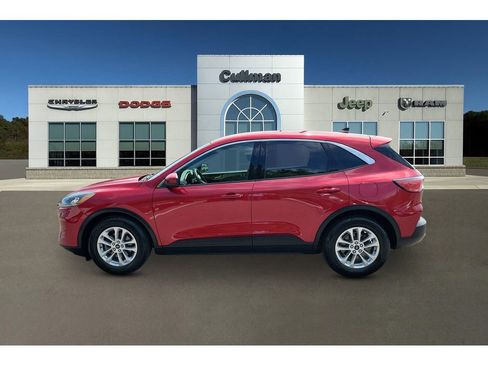 Used 2020 Ford Escape SE FWD image 6