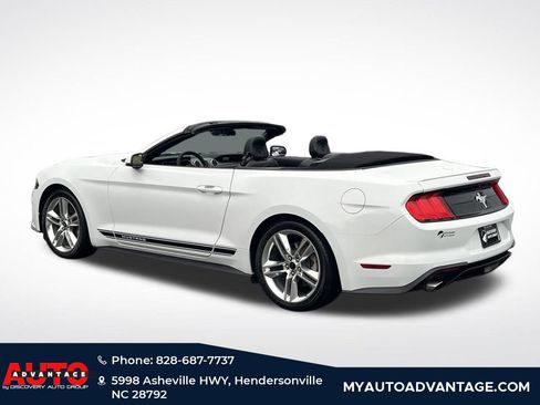 Used 2019 Ford Mustang Premium w/ Equipment Group 201A image 6