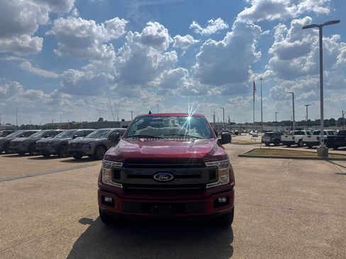 Used 2019 Ford F150 XLT w/ Equipment Group 302A Luxury RWD image 6