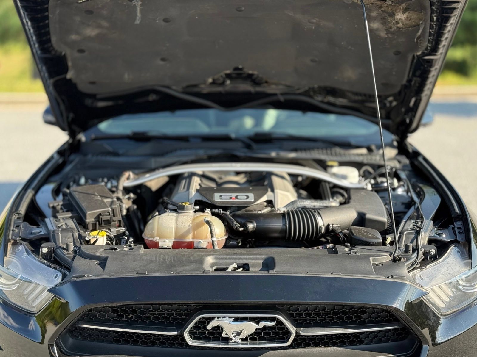 Used 2015 Ford Mustang GT Premium w/ Equipment Group 401A RWD image 44