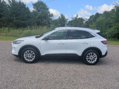 Used 2022 Ford Escape SE AWD/4WD image 4