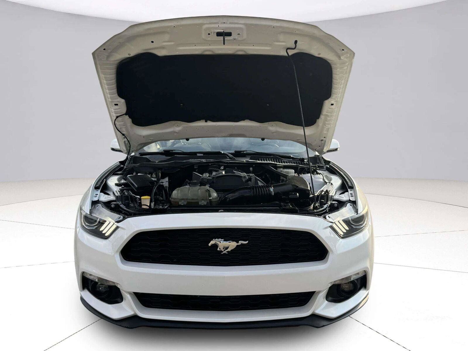 Used 2017 Ford Mustang Premium w/ Equipment Group 201A RWD image 51