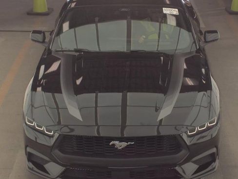 Used 2024 Ford Mustang Ecoboost image 3