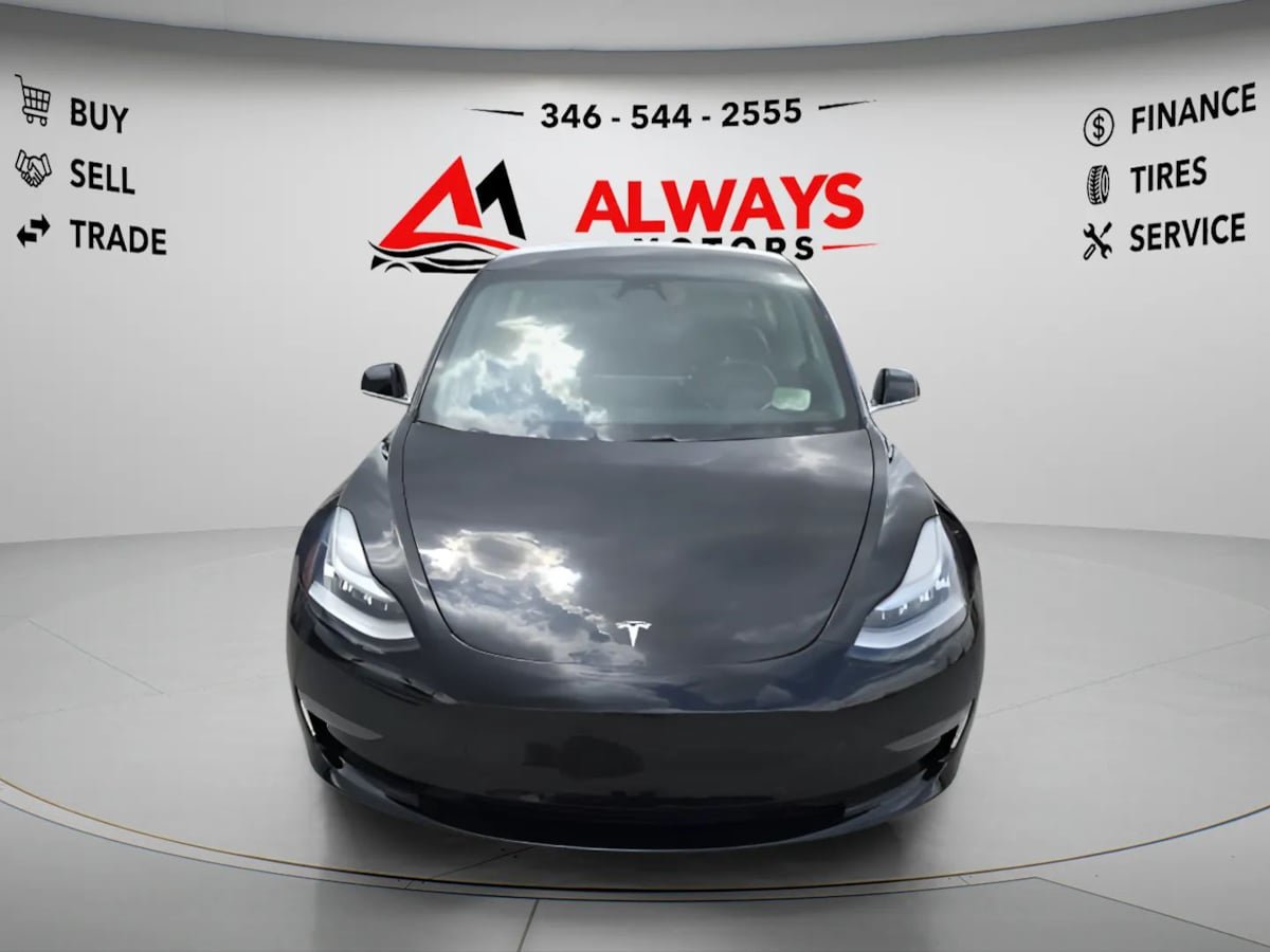 Used 2019 Tesla Model 3 Long Range AWD/4WD image 4