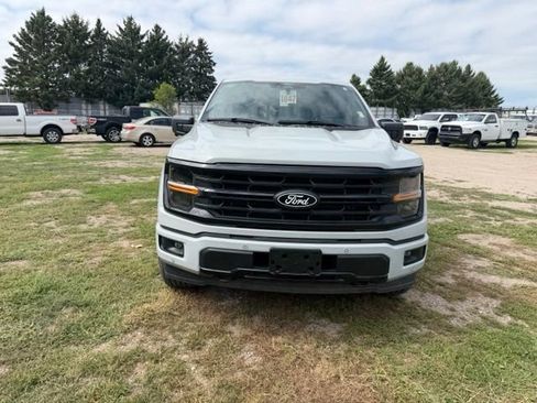 Used 2024 Ford F150 XLT w/ Equipment Group 303A High AWD/4WD image 3