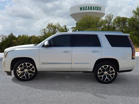 Used 2019 Cadillac Escalade Luxury image 3