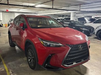 Used 2025 Lexus NX 250 FWD w/ Cold Area Package