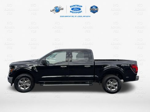 Used 2025 Ford F150 XLT w/ Equipment Group 301A Standard AWD/4WD image 10