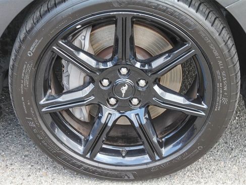 Used 2020 Ford Mustang GT w/ Equipment Group 301A image 14