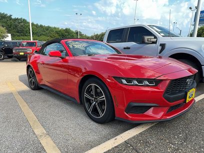 Used 2024 Ford Mustang Premium