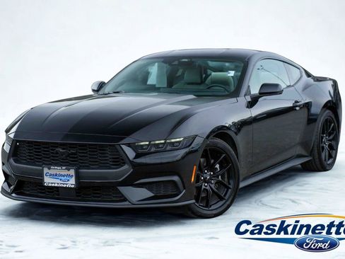 Used 2025 Ford Mustang Premium RWD image 1