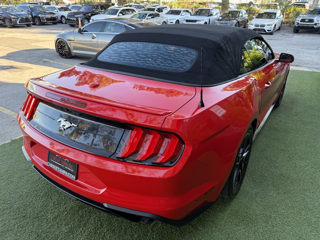 Used 2019 Ford Mustang Convertible RWD image 12