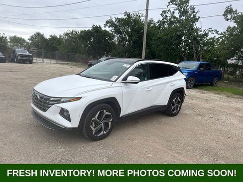 Used 2024 Hyundai Tucson Limited FWD image 7