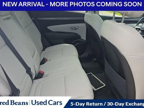 Used 2023 Hyundai Tucson Limited AWD/4WD image 9