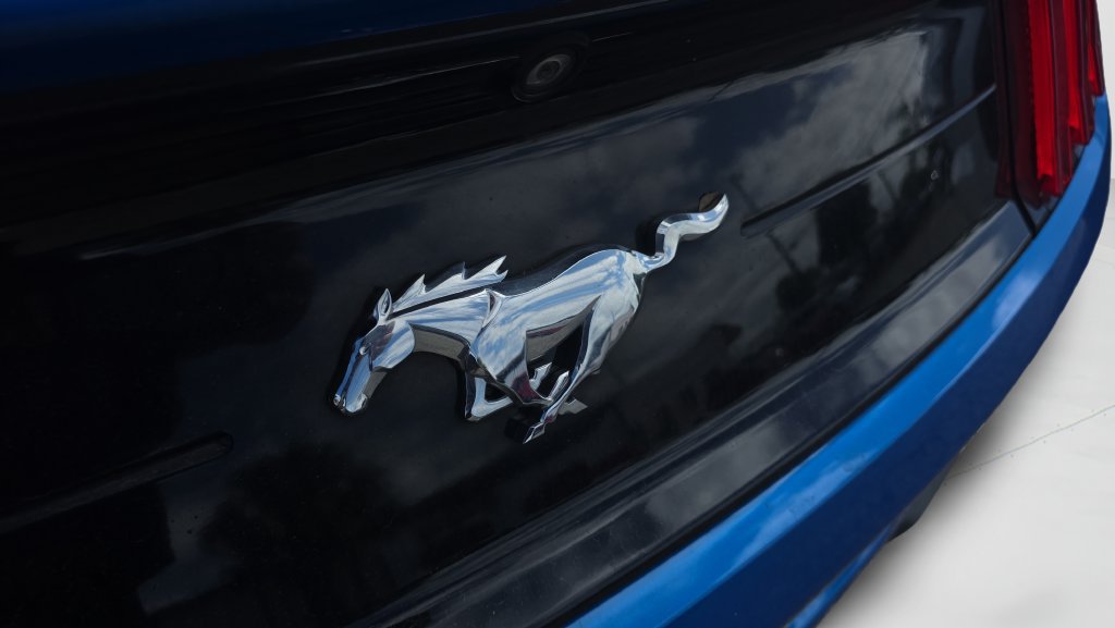 Used 2019 Ford Mustang Convertible RWD image 11