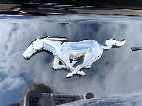 Used 2020 Ford Mustang Premium image 32