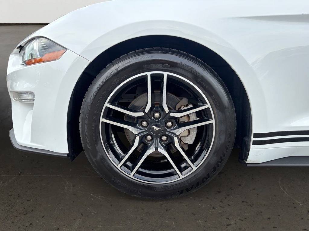Used 2019 Ford Mustang Premium RWD image 10