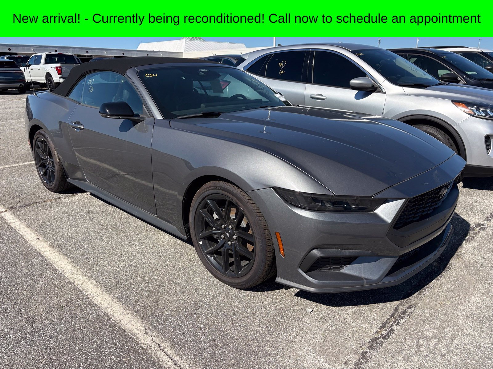 Used 2025 Ford Mustang Premium RWD image 1