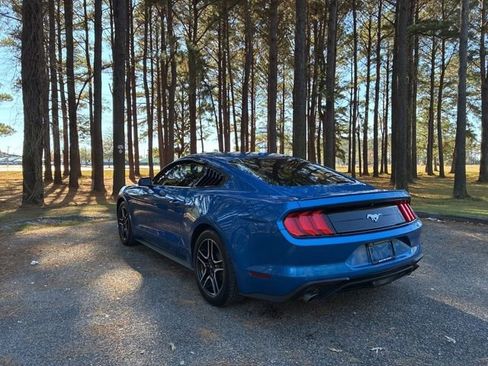 Used 2019 Ford Mustang Premium w/ Ford Safe & Smart Package image 5