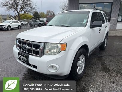 Used 2009 Ford Escape XLT
