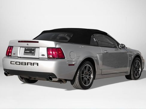 Used 2003 Ford Mustang Cobra image 6