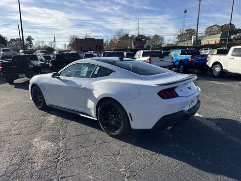New 2026 Ford Mustang Coupe w/ Mustang Nite Pony Package image 5