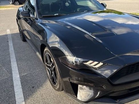 Used 2019 Ford Mustang Premium w/ Enhanced Security Package image 2