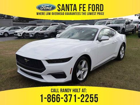 New 2026 Ford Mustang EcoBoost image 1