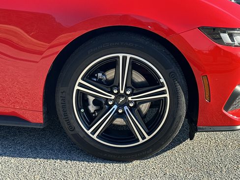 Used 2024 Ford Mustang Premium image 12