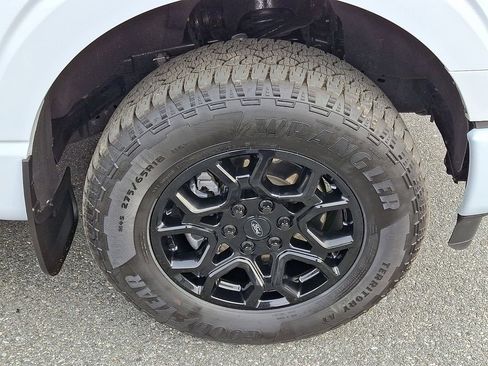 Used 2025 Ford F150 STX w/ STX Black Appearance Package image 8