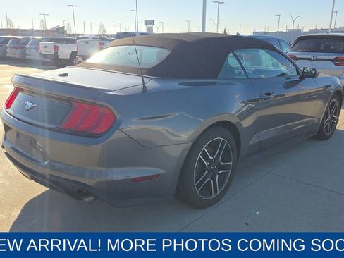 Used 2023 Ford Mustang Premium image 5