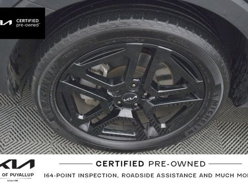 Used 2024 Kia Telluride SX Prestige X-Line image 22