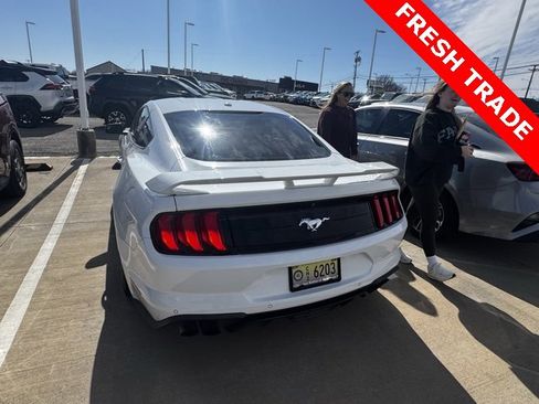 Used 2019 Ford Mustang Coupe w/ Ecoboost Performance Package image 6