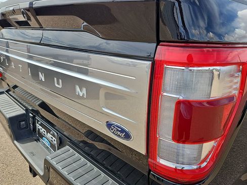 Used 2021 Ford F150 Platinum w/ Equipment Group 701A High AWD/4WD image 14