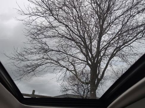 Used 2023 Toyota 4Runner Limited image 21