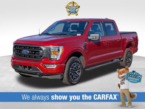 Used 2023 Ford F150 XLT w/ Equipment Group 302A High image 1