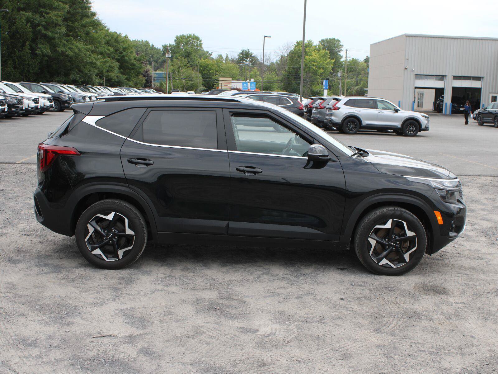 Used 2024 Kia Seltos EX AWD/4WD image 4