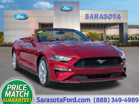 Used 2019 Ford Mustang Premium image 1