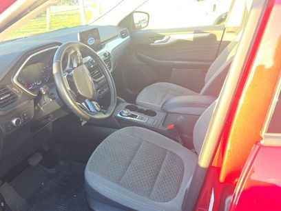 Used 2021 Ford Escape SE w/ Convenience Package
