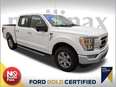 Certified 2023 Ford F150 XLT w/ Equipment Group 302A High