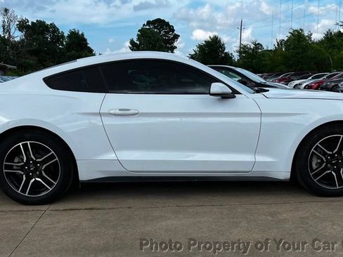 Used 2019 Ford Mustang Coupe w/ Equipment Group 101A RWD image 3