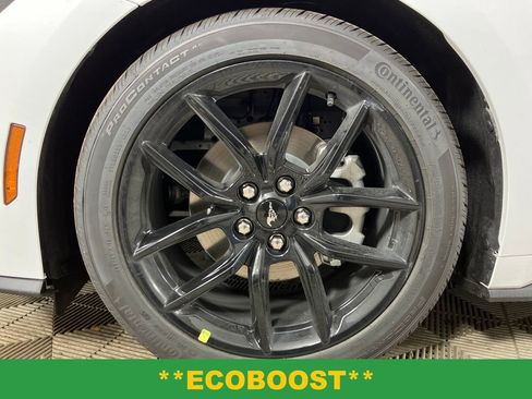 New 2025 Ford Mustang Premium w/ Mustang Nite Pony Package image 12